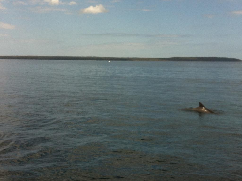 Huskisson Beach Motel Zewnętrze zdjęcie